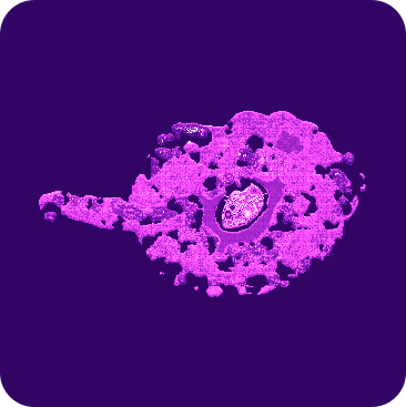 funland