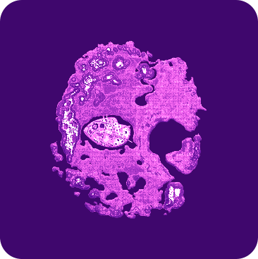 warland